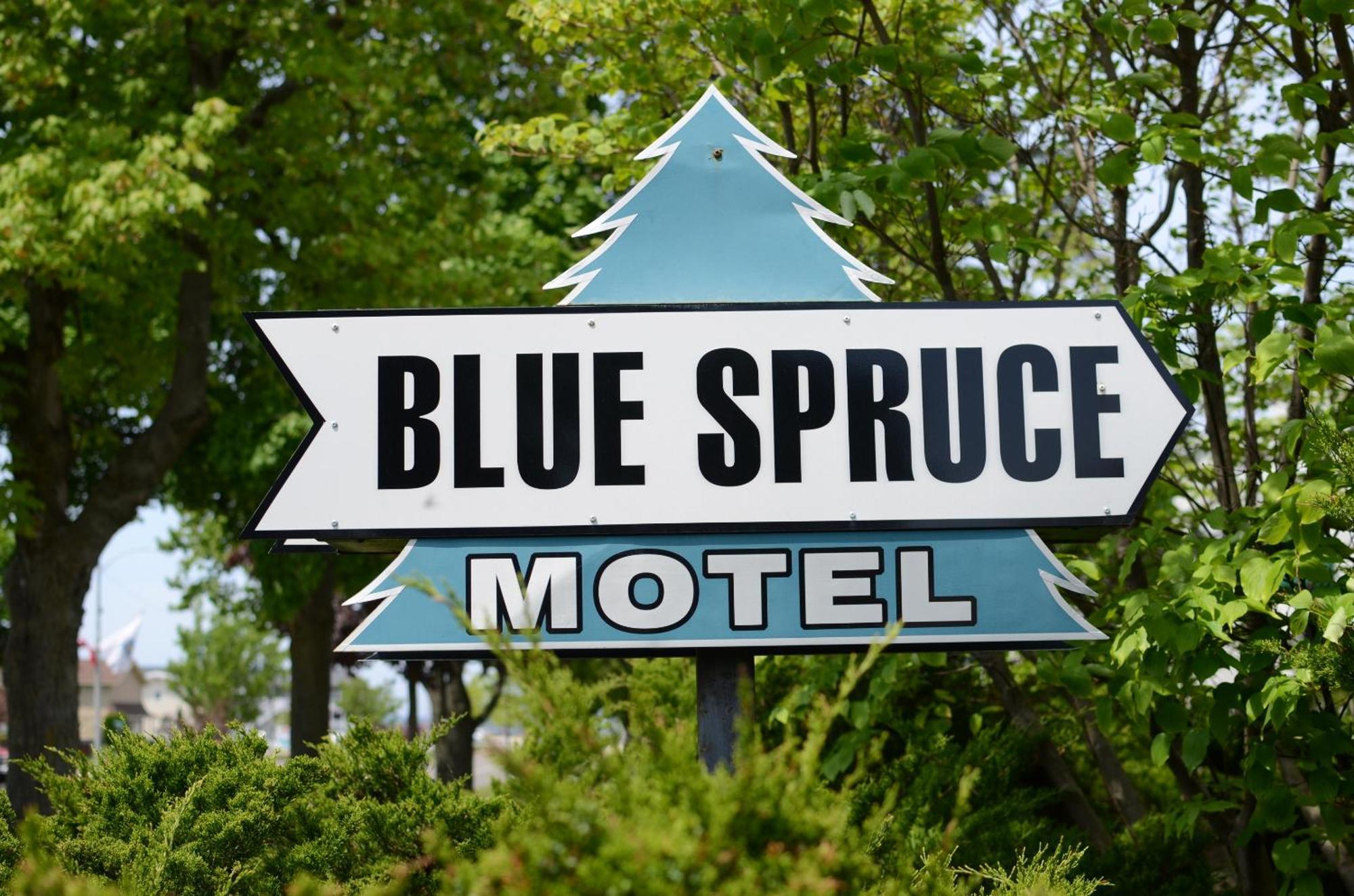 Ludington Blue Spruce Inn Exteriör bild